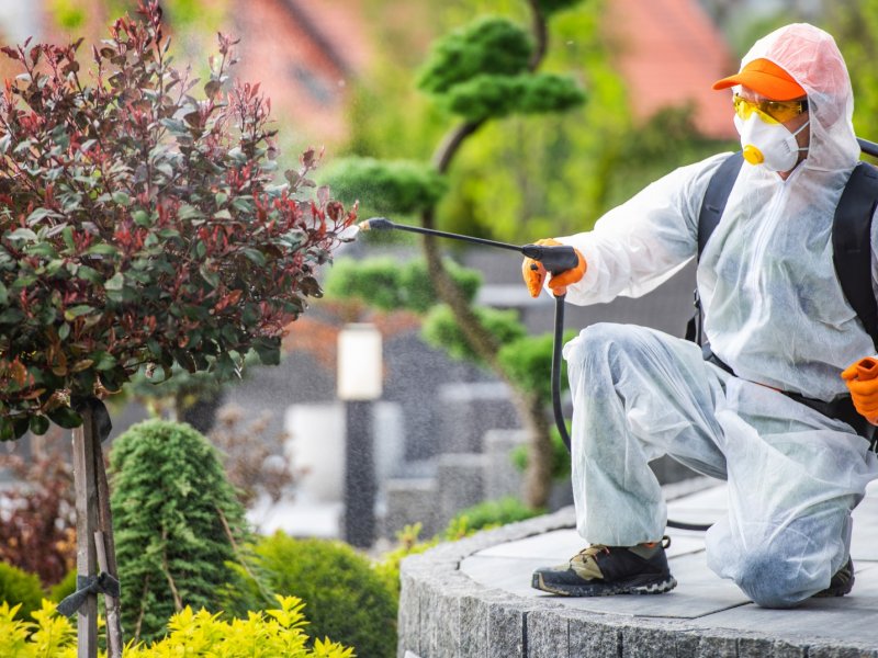 Çamaş Haşere İlaçlama