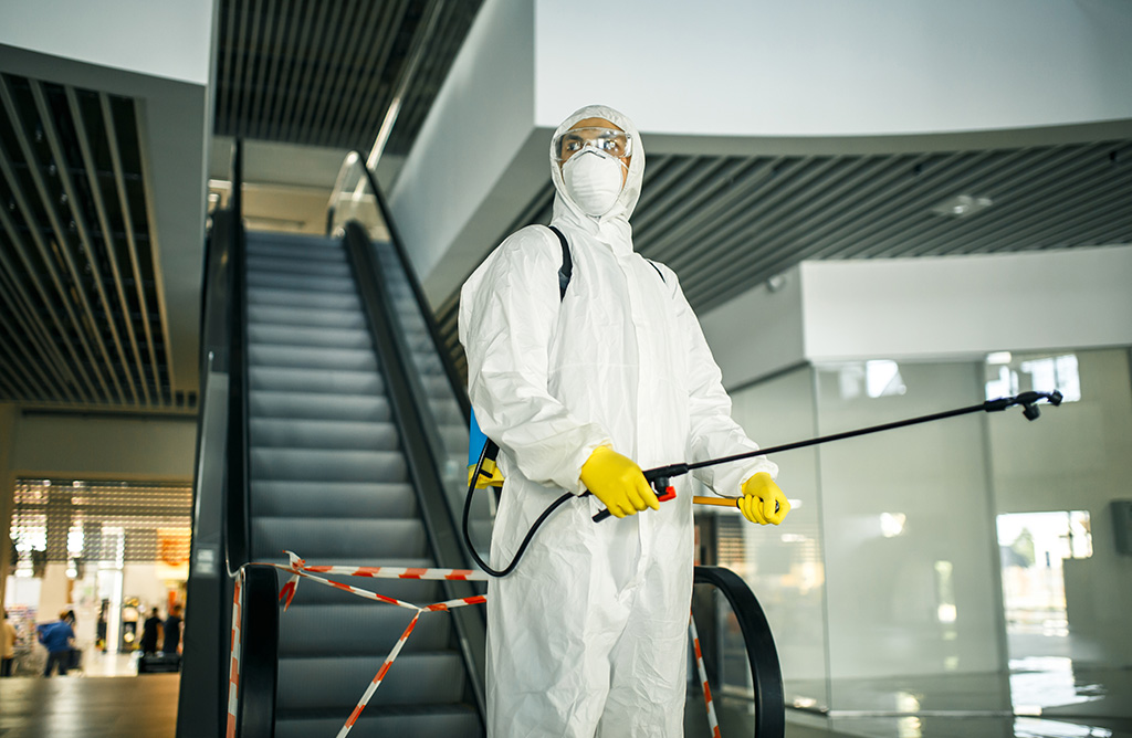 Çamaş Haşere İlaçlama